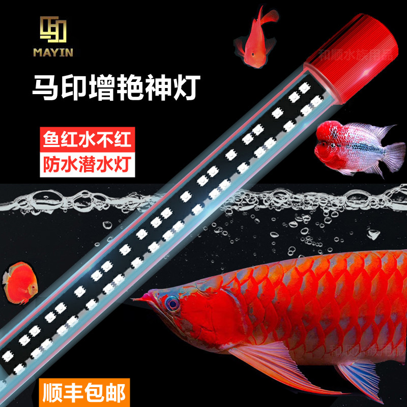 Ma yin god lamp three primary color arowana lamp special brightening color red fish not red water led diving parrot fish tank lamp