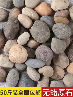 50 Jin paving cobblestone paving road large courtyard black and white gray stone original stone fish tank decoration natural goose soft warm stone