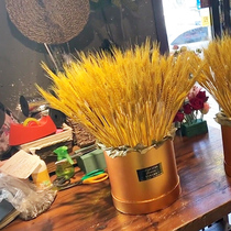 Wheat ears dried flowers hug bucket wedding companion barley plant home decoration shooting props wheat real flower
