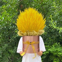 Barley hug bucket desktop opening gift housewarming dry flower bouquet handmade diy hand gift opening flower basket