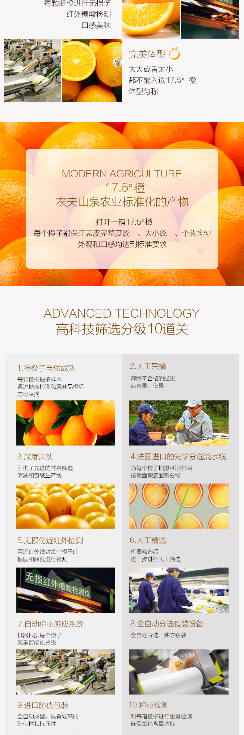 小编多次回购 农夫山泉 17.5°橙 铂金果 6斤 图4