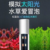 Fish tank lights LED lights waterproof aquatic plants aquarium lights to increase the dragon fish tube colorful fish small