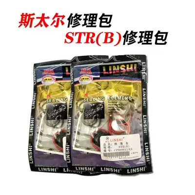 Lin's Steyr repair kit school oil pump accessories Steyr repair kit CP800009 LS