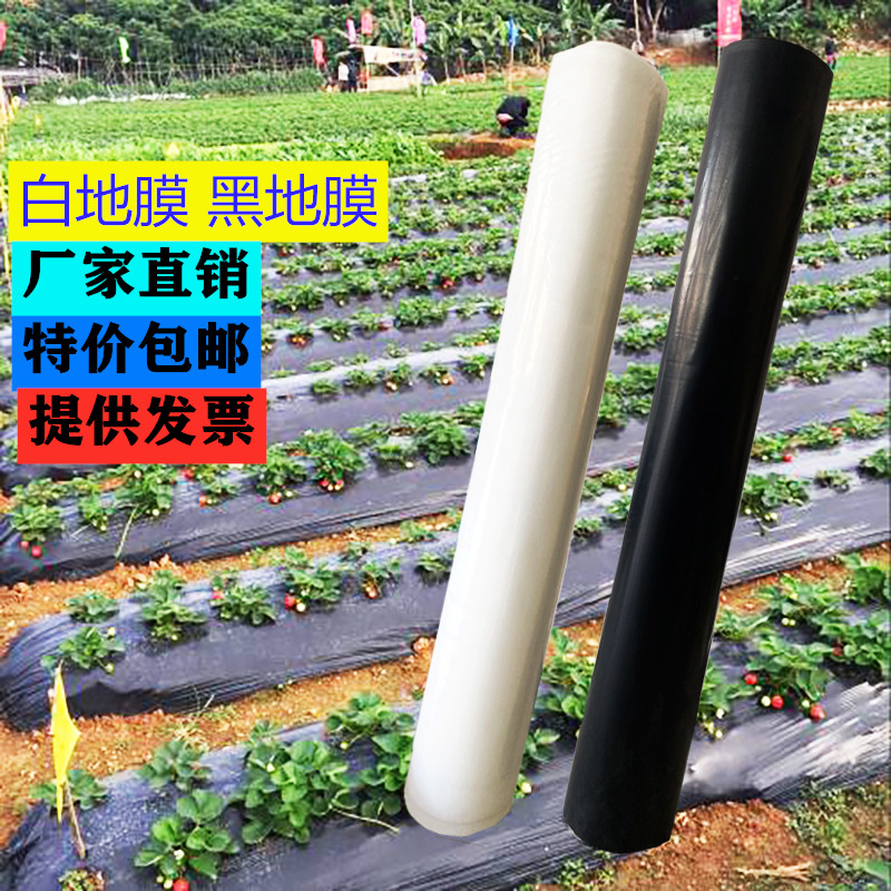 Mulch Agricultural Black Film Weeding Membrane Agricultural Anti-Grass Film Mulch Film Thickening Vegetable Fruit Tree Insulation Moisturizing Black And White-Taobao