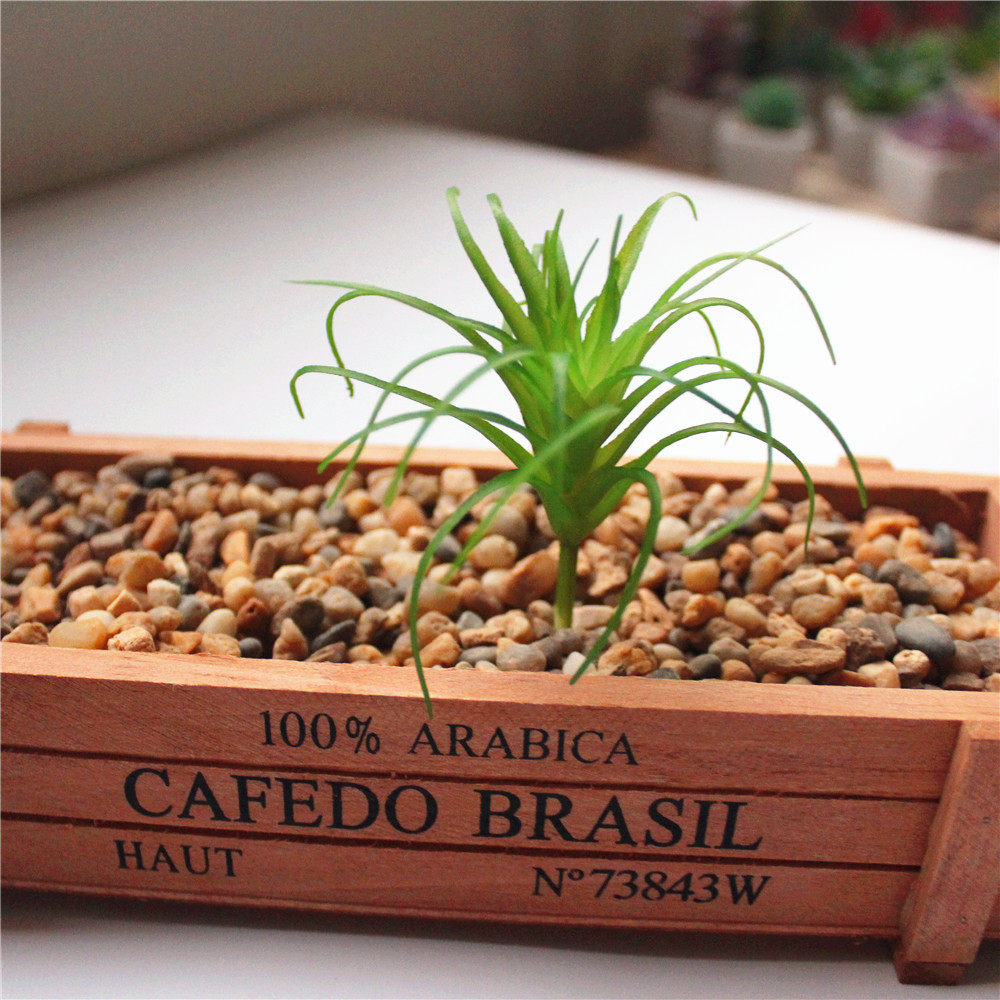 Img_0747_d Copy .jpg