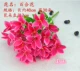 Đơn hoa giả mô phỏng bó hoa nhựa bó hoa nhỏ hoa hồng lily vải lụa hoa trang trí nội thất nhà mục vụ - Hoa nhân tạo / Cây / Trái cây
