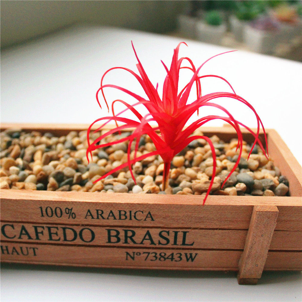 Img_0746_d Copy .jpg