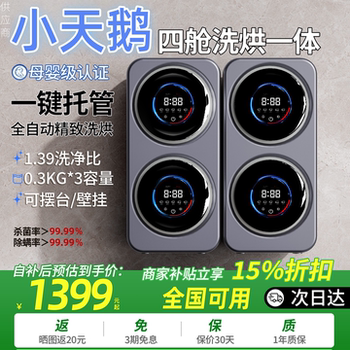 Mini Automatic Washing Machine with Dual Compartments, Wall-Mounted, Integrated Washing, Drying, and Dehydration, Small Household Appliance Specifically for Underwear and Socks