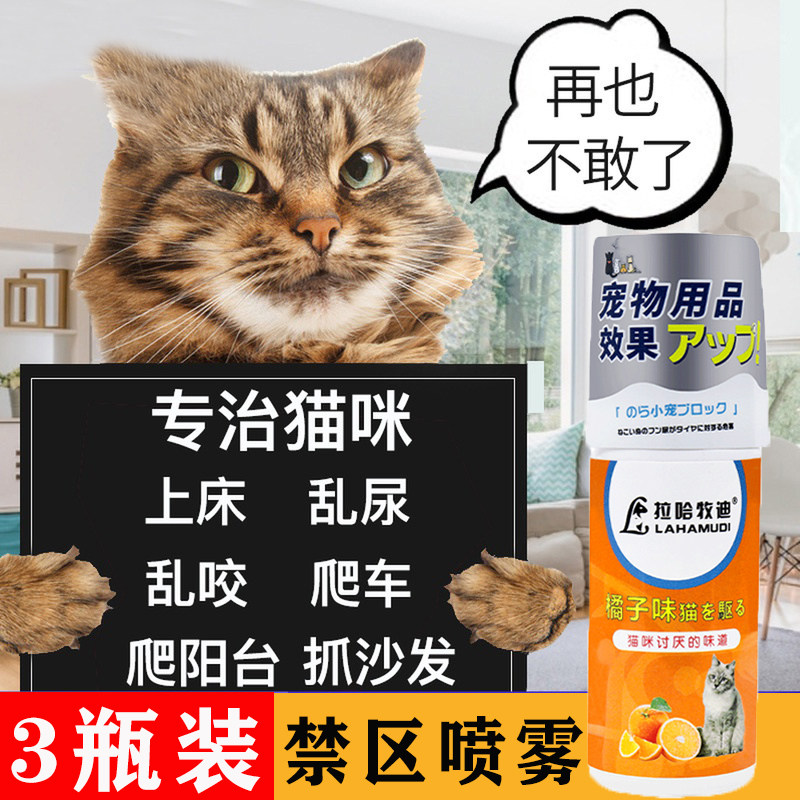 Driving cat spray water medicine to prevent kitty mess with cat hate for fear of spray penalty area orange taste driving cat deity