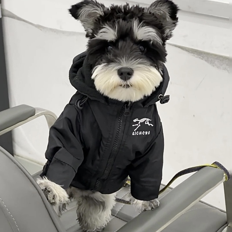Pet Dog Clothes, Autumn and Winter Jackets, Ancestral Dog Small Size Dogs, Schnauzer, Teddy, Winter Warm Cotton Clothing Pet Dog Clothes, Autumn and Winter Jackets, Ancestral Dog Small Size Dogs, Schnauzer, Teddy, Winter Warm Cotton Clothing