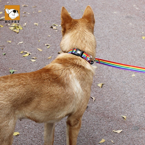 Собачья тяга собака веревка для питомца