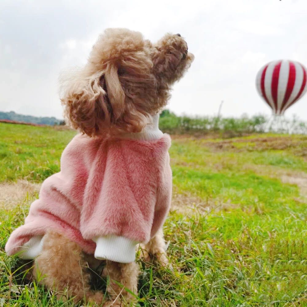 Teddy Dog Clothes Autumn and Winter Lovely Two-Footted Costumes Bear Pet Beauty Pet Chenery Small Dog