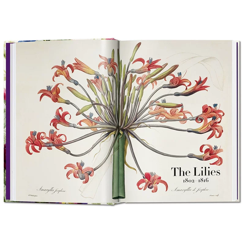«Spot Taschen Tasan Genuine Redouté. Книга цветов 40-я годовщина Read Flower Books»