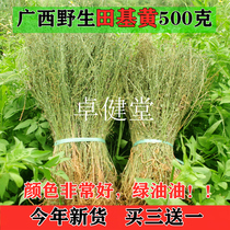 Guangxi wild fresh field-based yellow dried strips Seven-inch golden ear grass whole plant field-based King(Houttuynia strips sold separately)