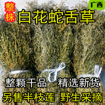 Guangxi whole wild Hedyotis diffusa Hundred Flower Hedyotis Herb Oliga 500g for sale