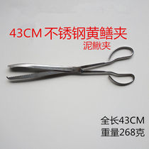 Stainless Steel Yellow Eel Clip Fish Clamp Finless Eel Fitter Clay Loach Clip Crab Clip Yellow Eel Finless Eel Fish Clip Litter Clip