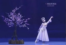 Fuguangshuying classical dance costume fairy elegant long skirt COS costume Hanfu custom art exam performance costume