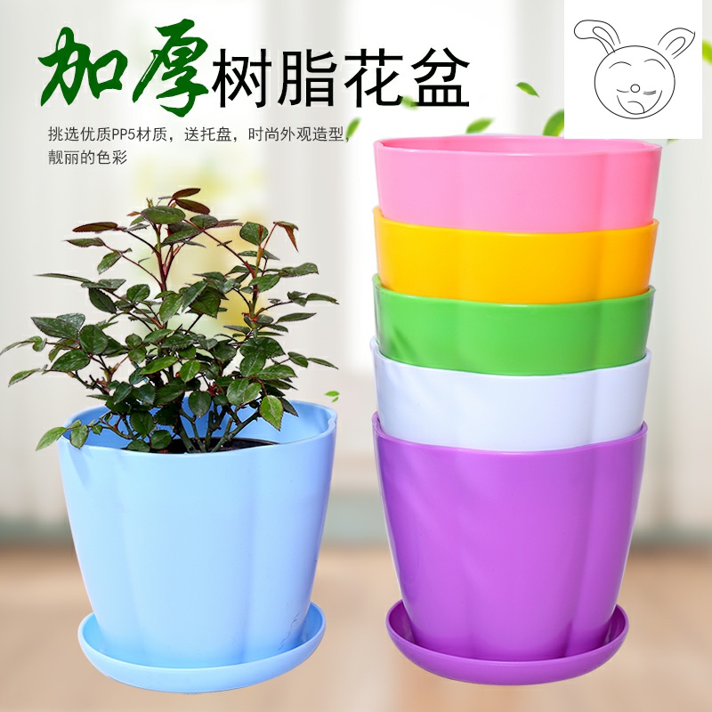 Increasing large money plant flower pot pot plastic imitation ceramic resin creative indoor green plant fleshy flower pot tray