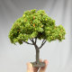 DIY Handmade Artificial Tree Miniature Cherry Blossom Tree Model Ancient Style Landscaping Figurine Scene Micro Landscape Landscaping Materials