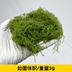 Miniature Vine Vegetation, Simulated Vines, Rattan DIY Materials, Sand Table Scenery, Ivy Model, Scene Greenery