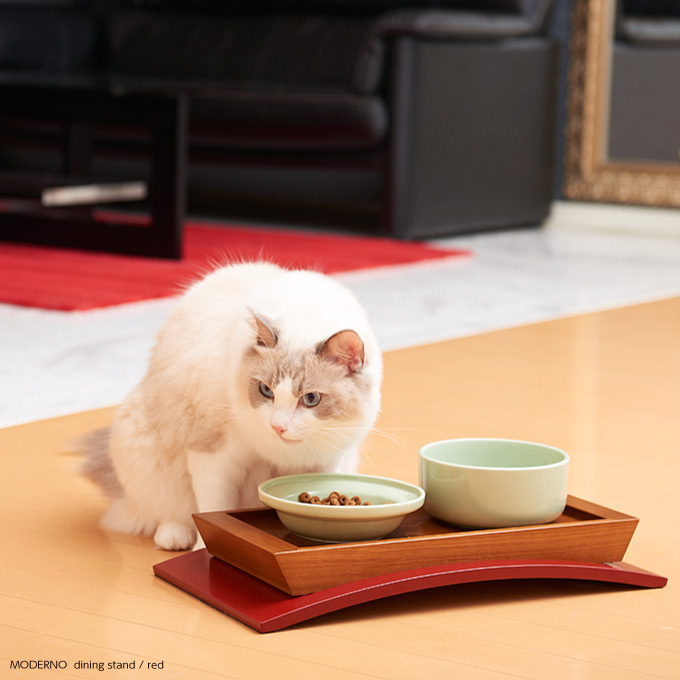 Cat World Japanese Imported Artisan Handmade Cat Dining Table Healthy Water Bowl Food Dish Wide Mouth Drinking Bowl Cat World Japanese Imported Artisan Handmade Cat Dining Table Healthy Water Bowl Food Dish Wide Mouth Drinking Bowl