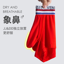 Mens underwear sex confused elephant nose bullet type separation physiological period modal sexy trend personality Sao jj set