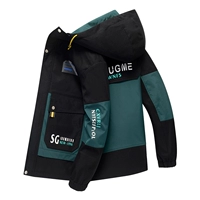 213 Черный зеленый (весна и осень)