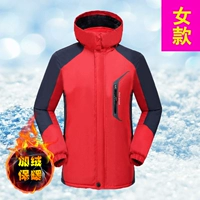 A06 (добавить бархат) Женский большой красный