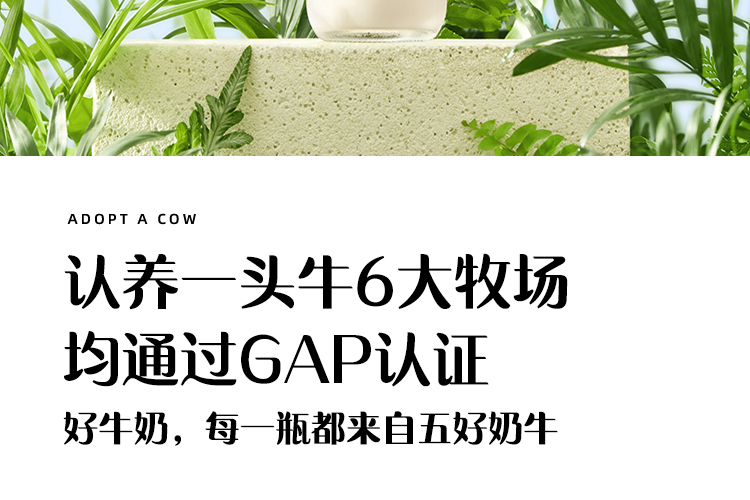 20点开始，认养一头牛 全脂纯牛奶 250ml*20盒 新低37.4元包邮（含返卡） 值值值-买手聚集的地方