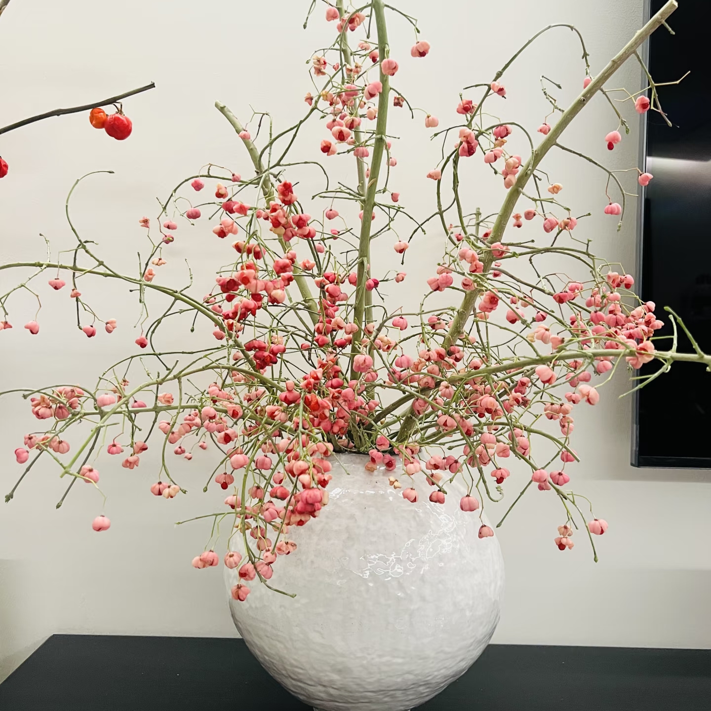 探寻山间绿意：大顺高山嫩豆苗的魅力