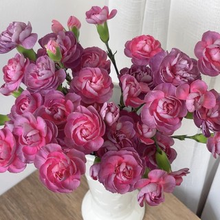 Combination carnation family cloud house flowers