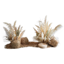 Autumn reed grass artificial flower landscaping wabi-sabi style indoor landscape clothing store window decoration scene layout beautiful display