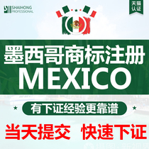 Mexico Trademark Registration Application Transfer UK Japan South Korea US EU International Patent Copyright Amazon