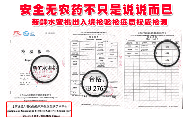 新鲜摘采水蜜桃3斤包邮现摘