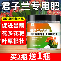 Jun Zlan Special Flower Fertilizer Slow Release Fertilizer Indoor Home Blooming Nitrogen Phosphorus Potassium Universal Waist Fat Base Fertilizer Nutrient Solution