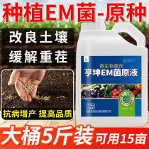 Planting private em stock liquid probiotic bacteria liquid pro-life root rejuvenation fruit tree vegetable agricultural em bacteria Improved soil