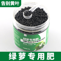Green fertilizer special fertilizer potted Wannian green bamboo paradise bird hanging orchid turtle back bamboo household general compound fertilizer