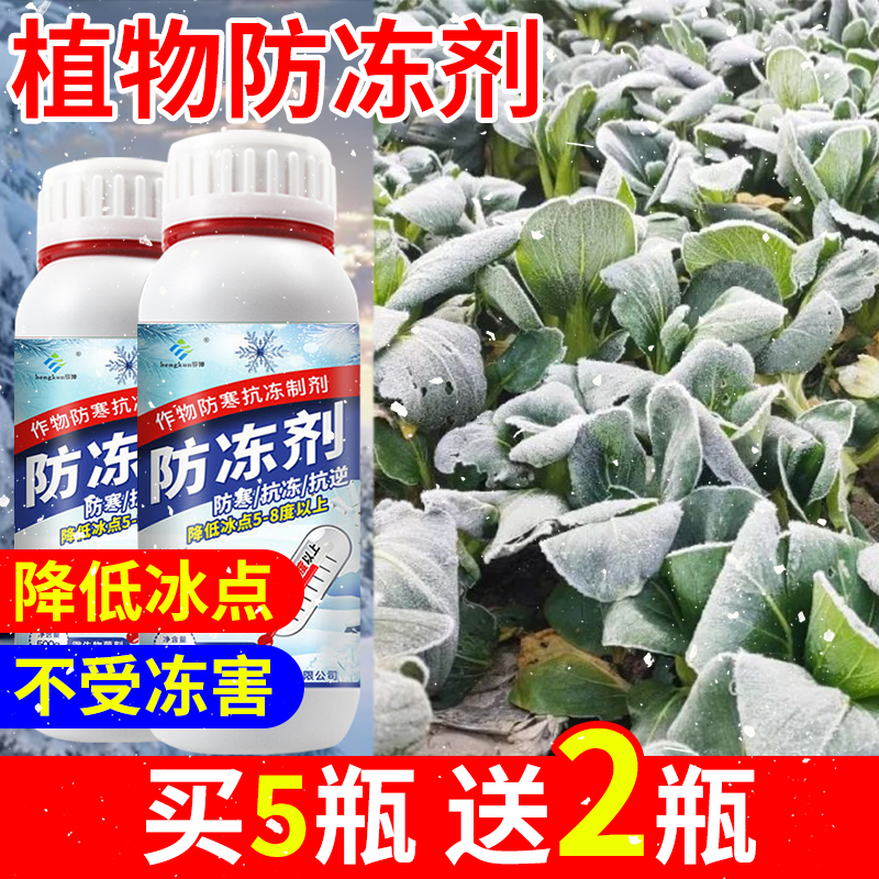 Plant antifreeze Fruit Trees Vegetables Garlic Miao Flowers Crops Winter cooling liquid Anti-frost Anti-chill Anti-freeze