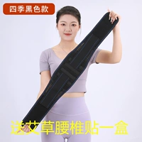 Модернизированная модель* черного цвета (плюс самогрелка) поставляется с коробкой поясничных пластырей из полыни.