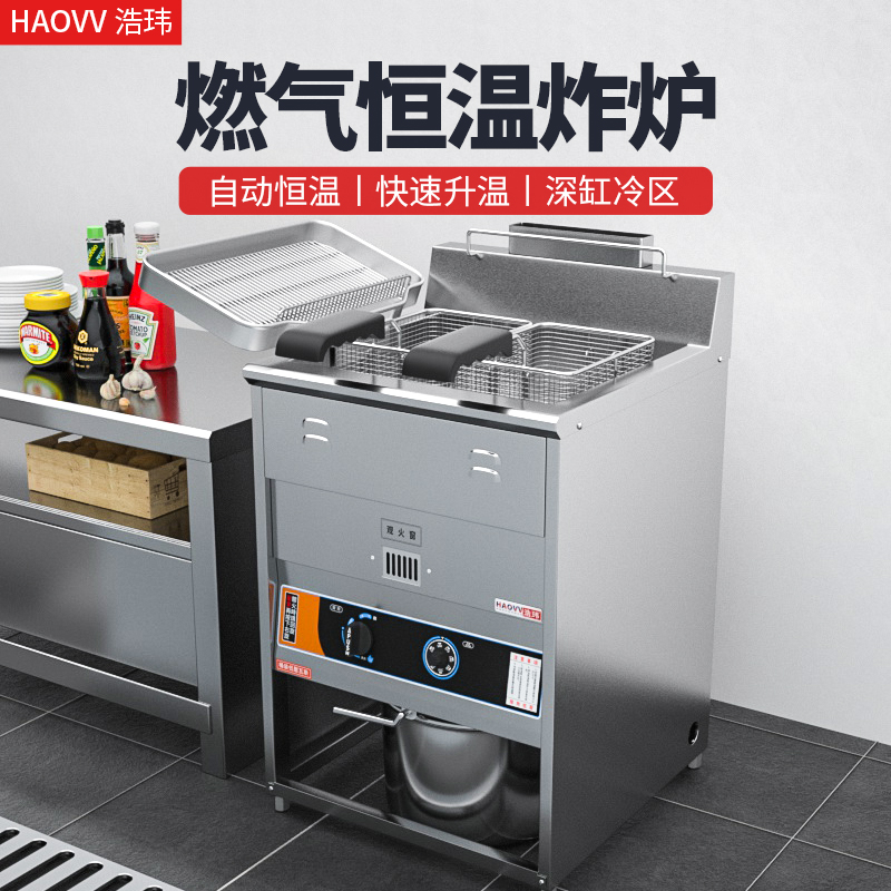 Haowei Commercial Vertical Electric Fryer Frying Machine Gas Gas Oil Bar Fried String Machine Equipment Thermostatic Double-Cylinder Fryer