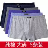 Трусы, штаны, шорты, высокая талия, для среднего возраста, большой размер