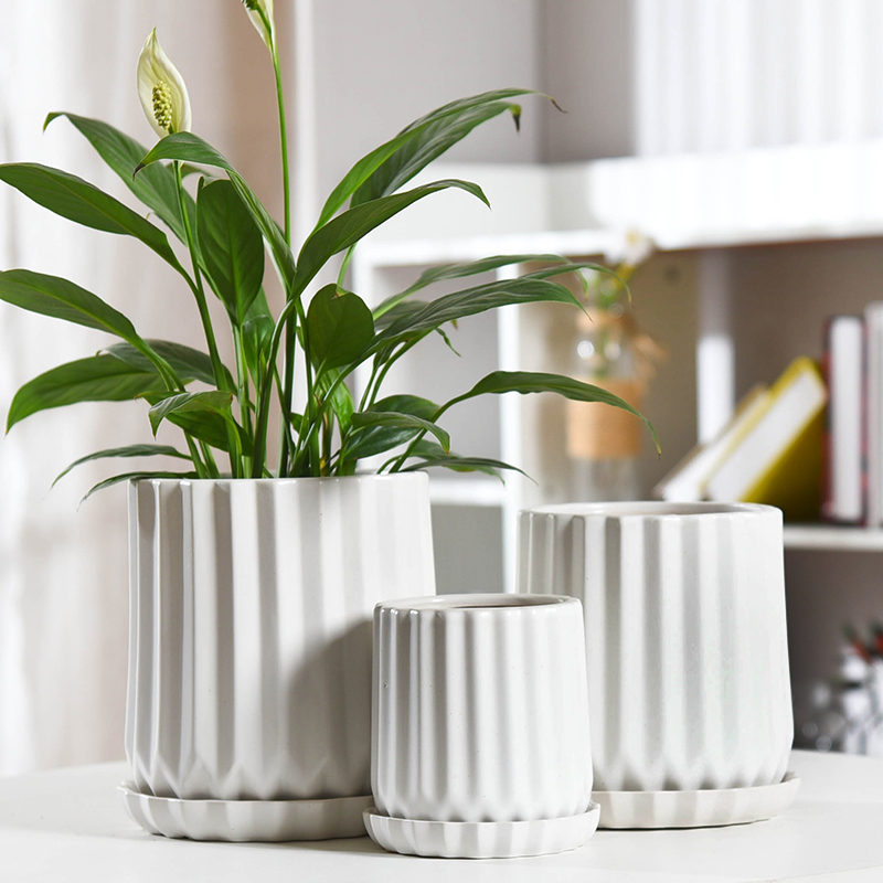 Flowerpot ceramic contracted white Nordic style take tray other orchids green plant most creative move, the flower pot