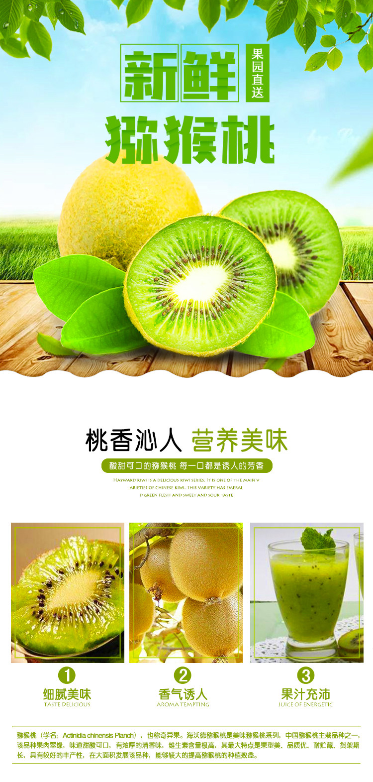 涵汐 陕西周至绿心猕猴桃 带箱5斤 图1