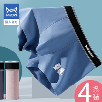 Cat Human Pants Mens Pure Cotton Antibacterial Crotch Large Boy Teenagers Boys Development Opening Middle School Middle School High School Students Four Corner Pants