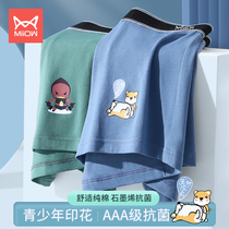 Cat People Teen Briefs Mens Pure Cotton Summer Medium High School Boys Junior High School High School Raw Four-corner Pants