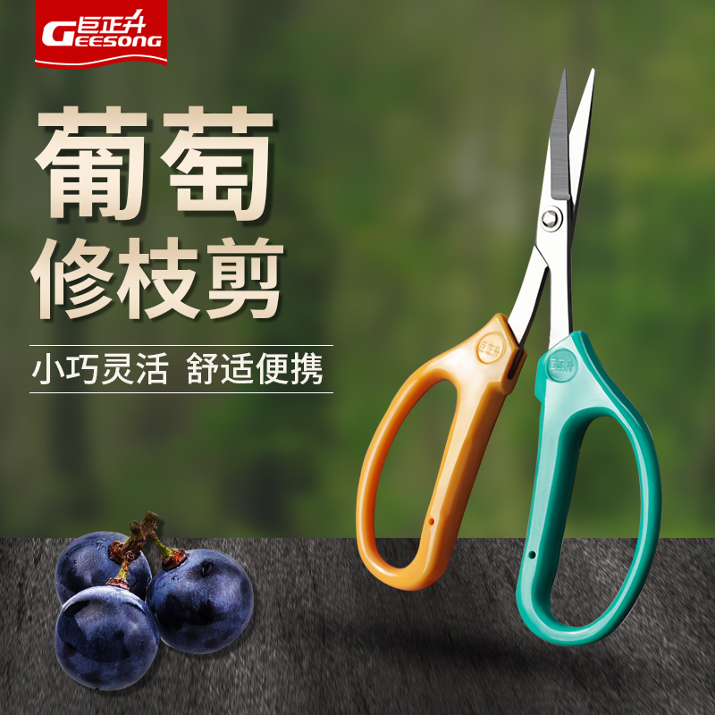 Special scissors for fruit repair of warped grapes, thinning, thinning, thinning, thinning, thinning, fruit, fruit, cutting, loquat, orange, picking and pruning