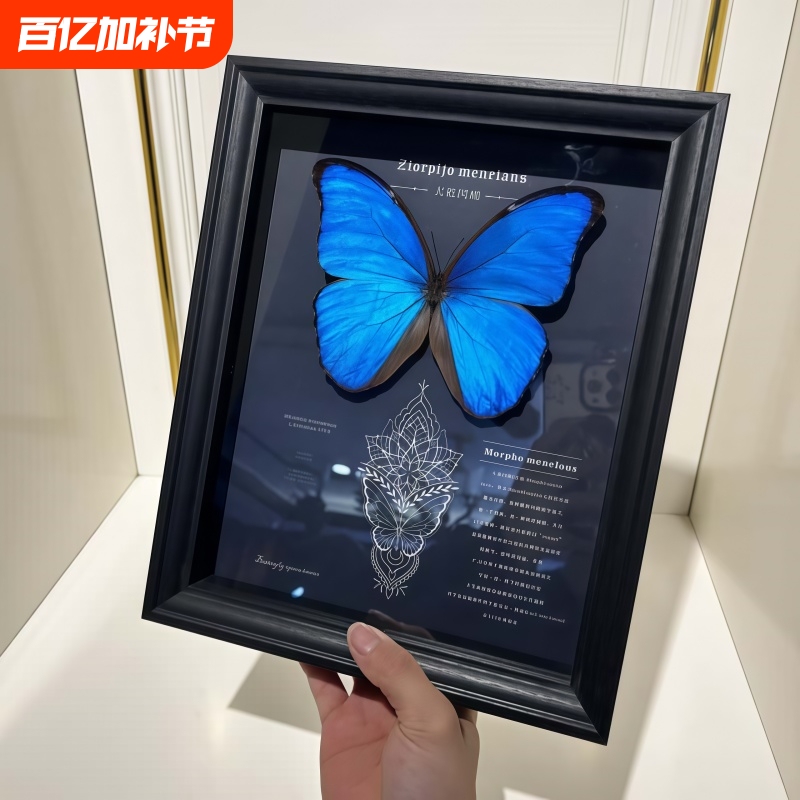 Art Frame with a Specimen of a Blue Morpho Butterfly, Birthday Gift, Wall Art, Large Blue Morpho Display Frame, Decorative Piece, Bedroom Decoration