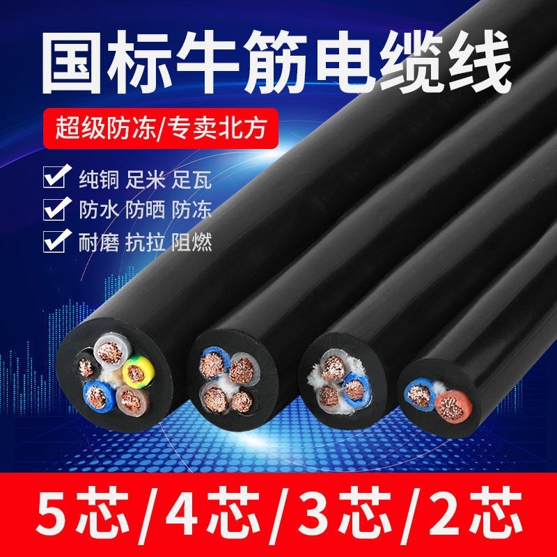 Pure Copper Core National Standard Household Flexible Cable Multi-Core Sheathed 2.5/4/6/10 Square Meters Electric Vehicle Charging Cable Power Supply
