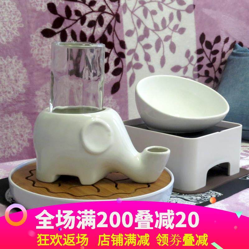 Cat Dog Moustache Cat Gaffi Cat Pet Drinking Water Ceramic Bowl Big Drinking Fountain Drink Water Elephant Wet Mouth Chin