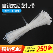 Self-locking nylon cable ties GB 8*250mm cable ties 250 plastic cable ties White black